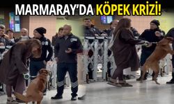 Marmaray'da Köpek Krizi!