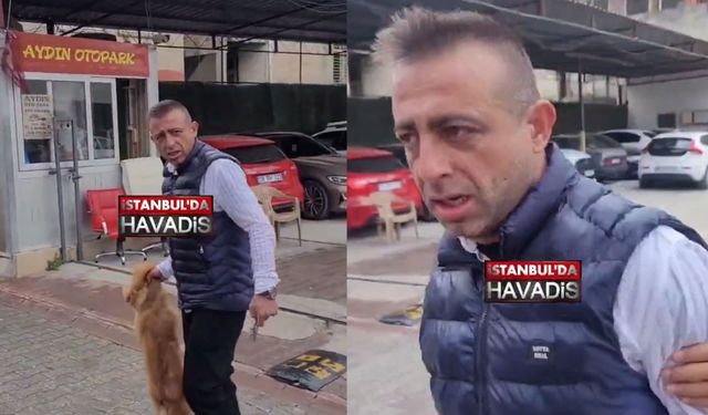 Adana'da tepki çeken görüntü! "Bu da insan işte!"