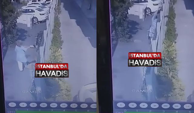 Kedileri Toplayıp Bahçeden Attı!