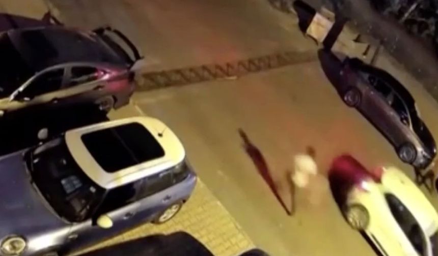 Çocuklar seyir halindeki arabanın içine torpil attı