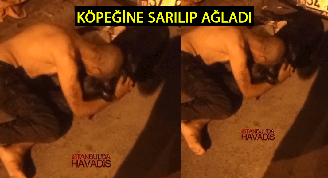 Fatih'te Vahşet! Köpek Silahla Vurularak Öldürüldü